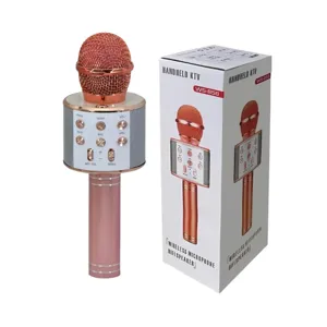 Micro karaoké